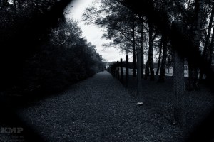 Der Zaun von aussen gesehen