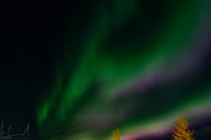 Aurora borealis über Reykjavik