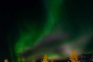 Aurora borealis über Reykjavik