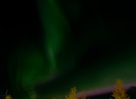 Aurora borealis über Reykjavik