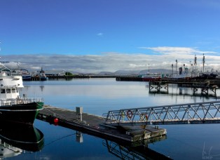 Der alte Hafen von Reykjavik