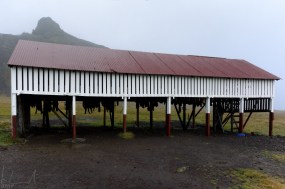 Das "Trocknungshaus" für Haifischfleisch