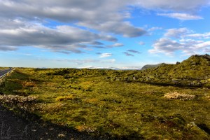 Mit Moos überwachsene Lava
