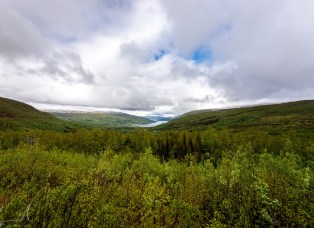 Blick auf den Fjord vom Hotel Gratangsfjellet aus
