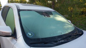 Am Morgen nach dem ersten Frost der Saison