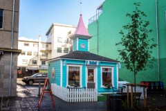 8. Tag - Geitafoss & Akureyri