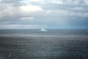 Eisberg am Eingang des Eyjafjörður