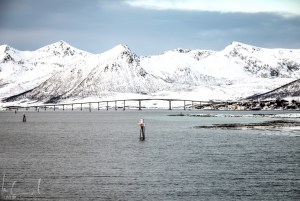 Der schmale Kanal und die Brücke bei Risøyhamn