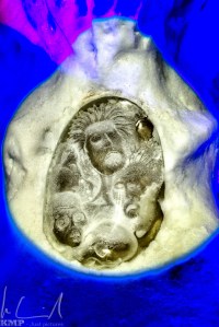 Magic Ice Lofoten, Svolvær