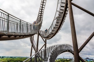 Tiger and Turtle