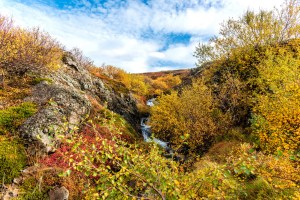 Herbst auf den Westfjorden