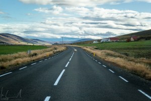 Achtung: Schafe auf der Strasse