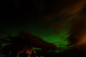 Nordlichter über Sel
