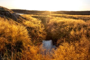 Sonnenaufgang beim Ensku húsin