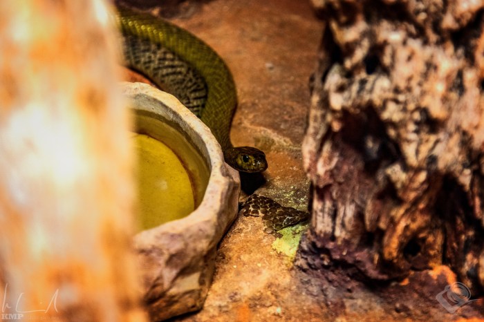 Stockholm_2021_02_104638_wp_gross