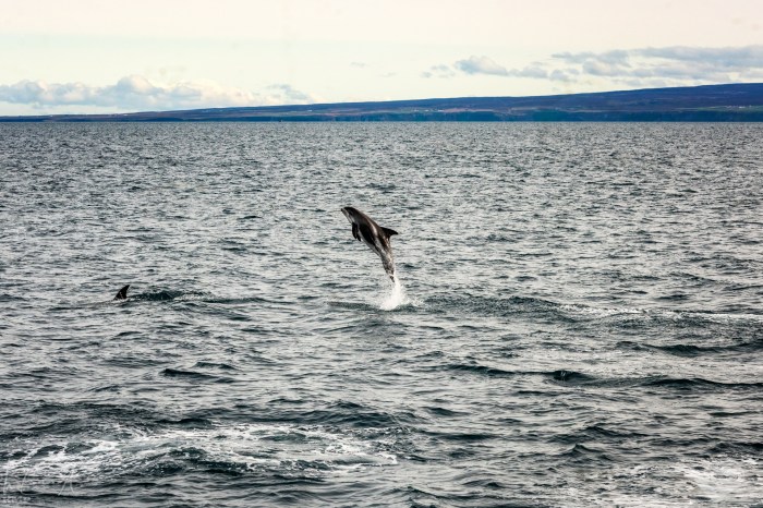 Island_23_07_0115284