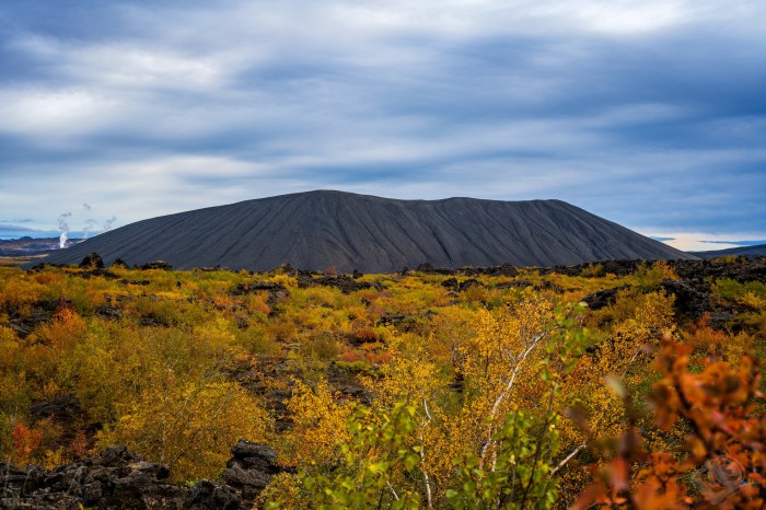 Island_23_08_0036262