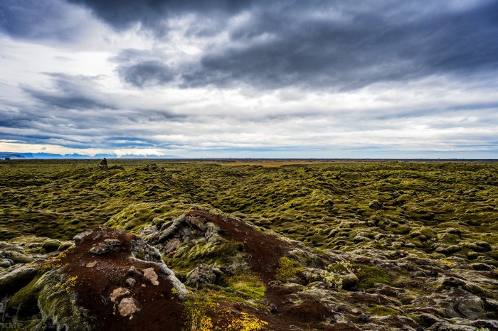 Island_23_10_0036922