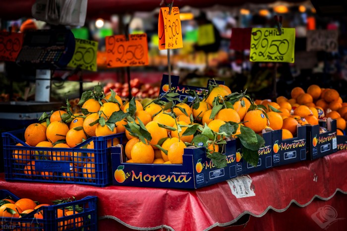 Torino_24_05_0042199