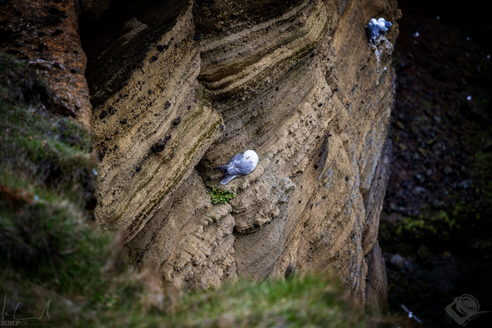 Island_24_04_0043832